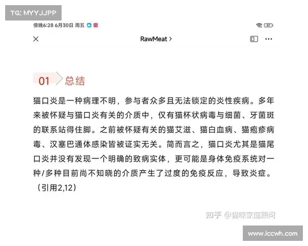 猫口炎防治传染病攻略 猫口炎防治传染病攻略