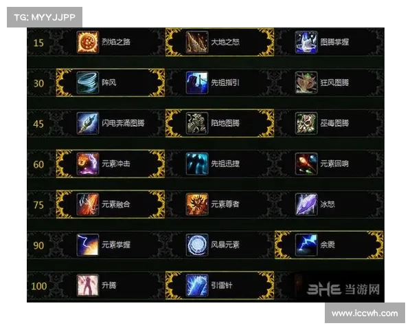魔兽世界元素萨满:操作指南 魔兽世界元素萨满:操作指南