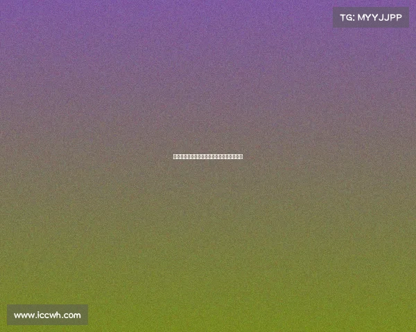 电子竞技参赛选手英文、电竞选手的荣耀征程